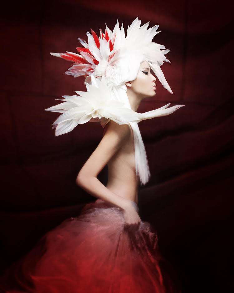 Birds of Paradise – Erika Fung | Hair Magazine – Tribu-te.com